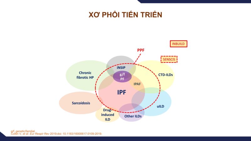 Bệnh phổi kẽ và vai trò HRCT trong bệnh phổi kẽ từ góc nhìn chuyên gia hô hấp
