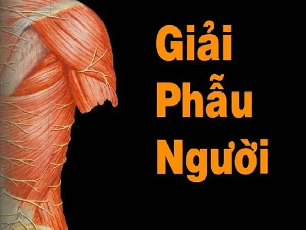 Atlas Netter theo từng cơ quan (Tiếng Việt 2007)