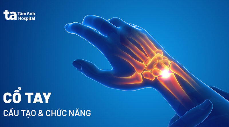 Siêu âm khớp cổ tay